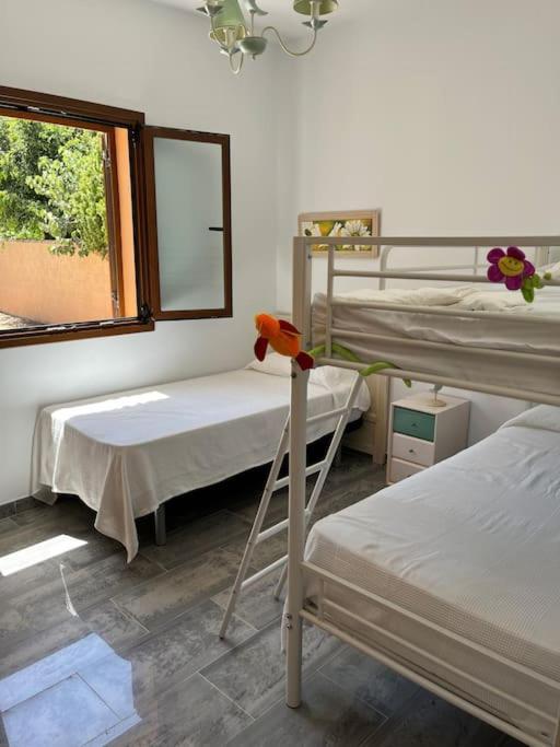 Villa Brasilia Chiclana de la Frontera Zewnętrze zdjęcie
